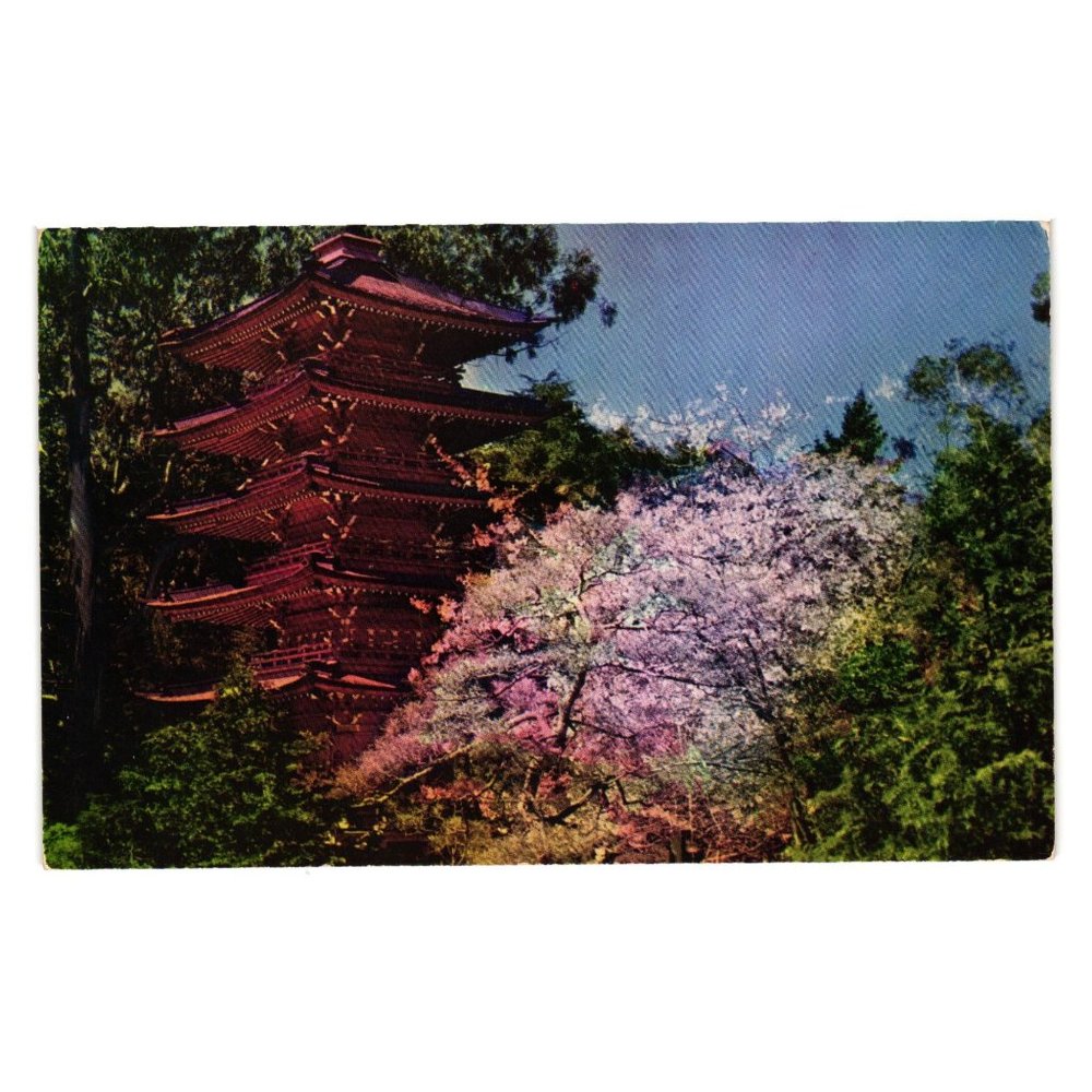 Vintage Postcard San Francisco Oriental Tea Garden California Pagoda Golden Gate